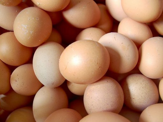 關于雞蛋的每件事都不是小事 雞蛋怎么保存?