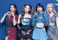 BLACKPINK带妆摸大熊猫幼崽 央视点名批评 BLACKPINK带妆摸大熊猫幼崽 央视点名批评