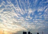 宁夏开展乡村旅游发展研修班  促进乡村旅游提质增效 宁夏开展乡村旅游发展研修班  促进乡村旅游提质增效