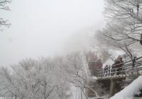 新疆博州“冰雪旅游嘉年华”四大板块  120余项冰雪旅游活动让游客感受冰雪魅力 新疆博州“冰雪旅游嘉年华”四大板块  120余项冰雪旅游活动让游客感受冰雪魅力