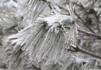 贵州省冬季旅游滑雪季活动开幕   引领带动更多群众走到户外参与冰雪运动 贵州省冬季旅游滑雪季活动开幕   引领带动更多群众走到户外参与冰雪运动