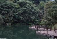 “安家落户”!广东茂名发现国家一级保护野生动植物紫纹兜兰 “安家落户”!广东茂名发现国家一级保护野生动植物紫纹兜兰